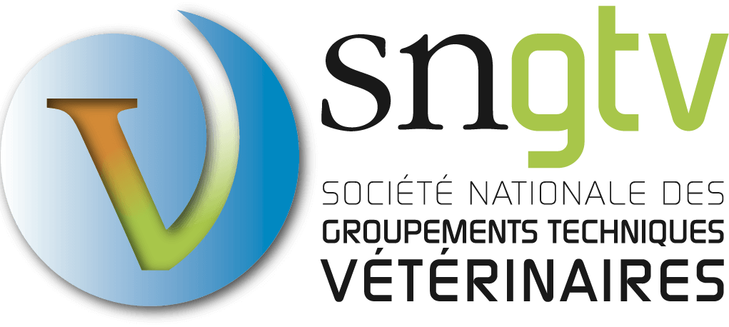 SNGTV